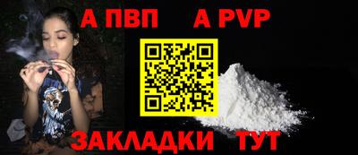 дмт Кингисепп