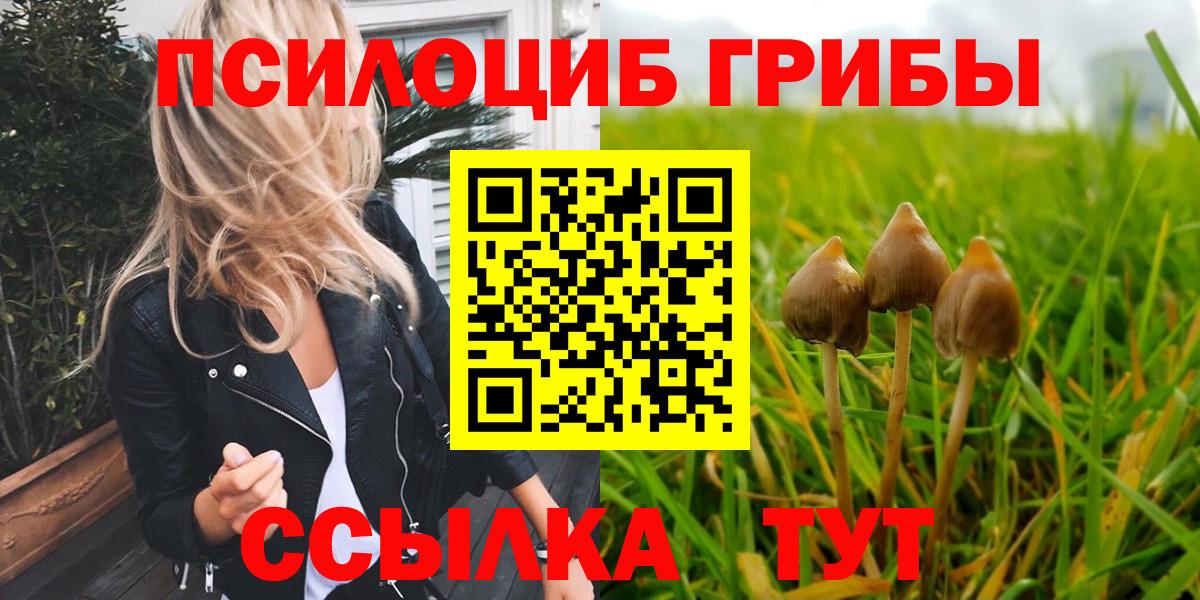 Королёв  Галлюциногенные грибы Psilocybe  Вход с VPN 